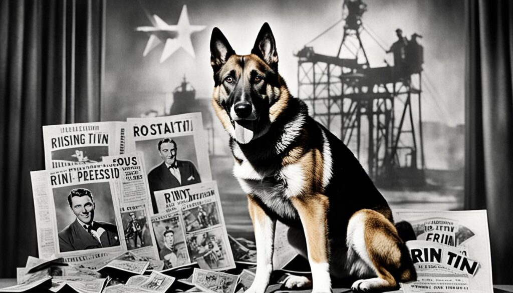 Rin Tin Tin